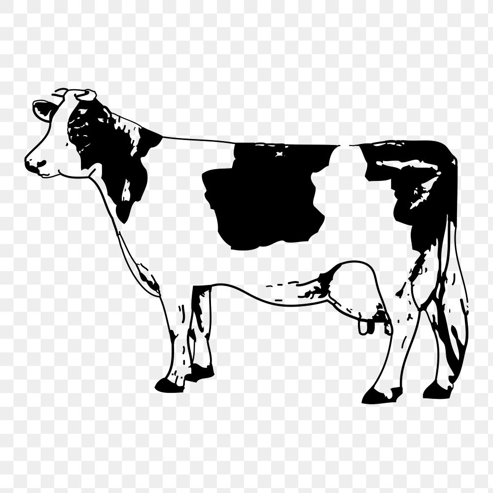 Cow, bull png sticker, farm animal vintage illustration on transparent background. Free public domain CC0 image.