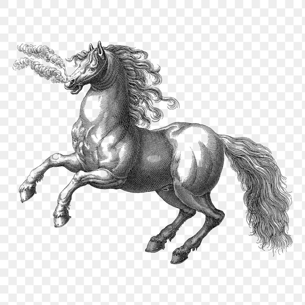 Rearing horse png sticker, animal vintage illustration on transparent background. Free public domain CC0 image.