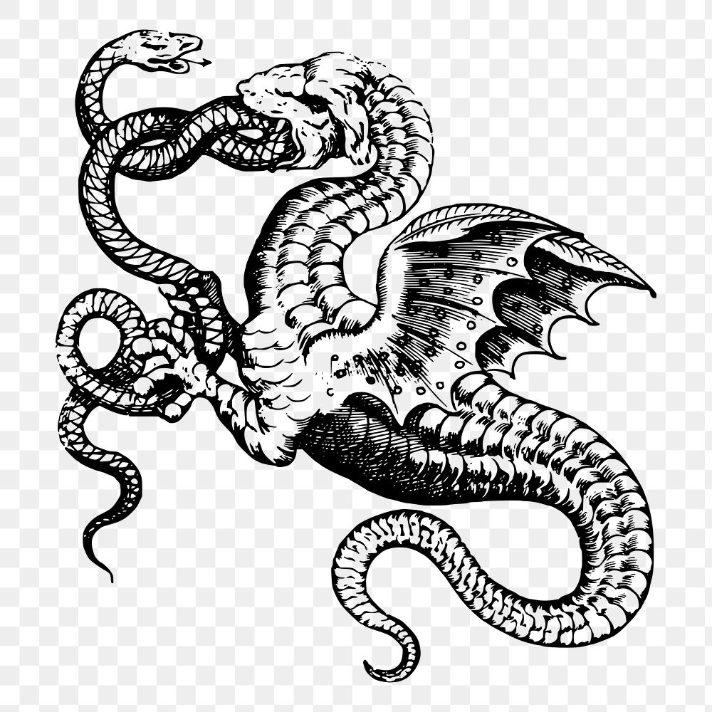 Snake dragon png sticker, mythical creature vintage illustration on transparent background. Free public domain CC0 image.