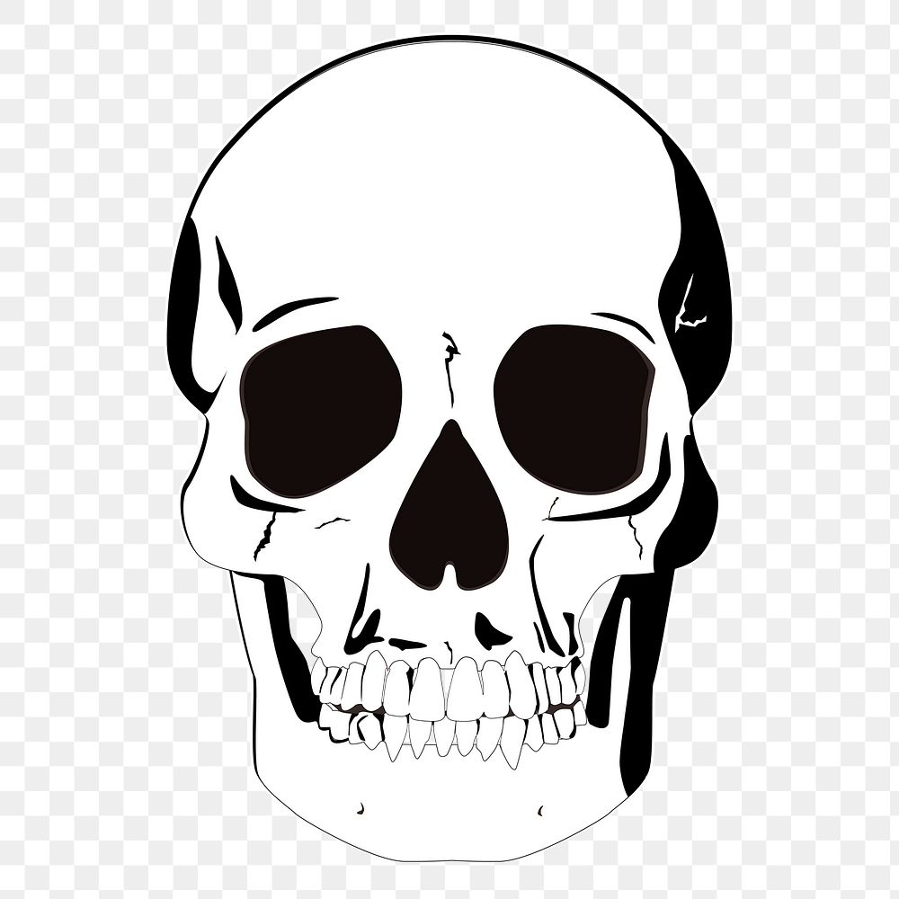 Human skull png sticker, medical vintage illustration on transparent background. Free public domain CC0 image.