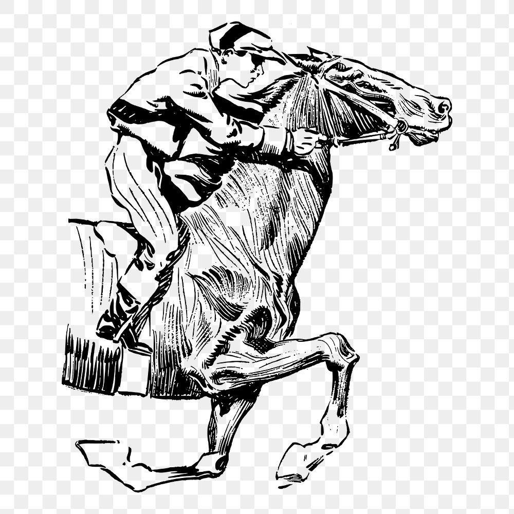 Horse rider png sticker, vintage illustration on transparent background. Free public domain CC0 image.