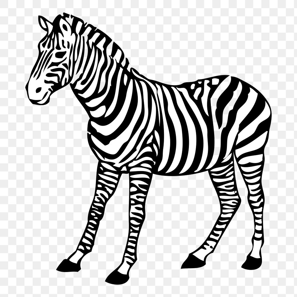 Zebra png sticker, animal illustration on transparent background. Free public domain CC0 image.