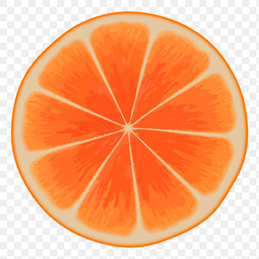 Orange slice png sticker, fruit illustration on transparent background. Free public domain CC0 image.