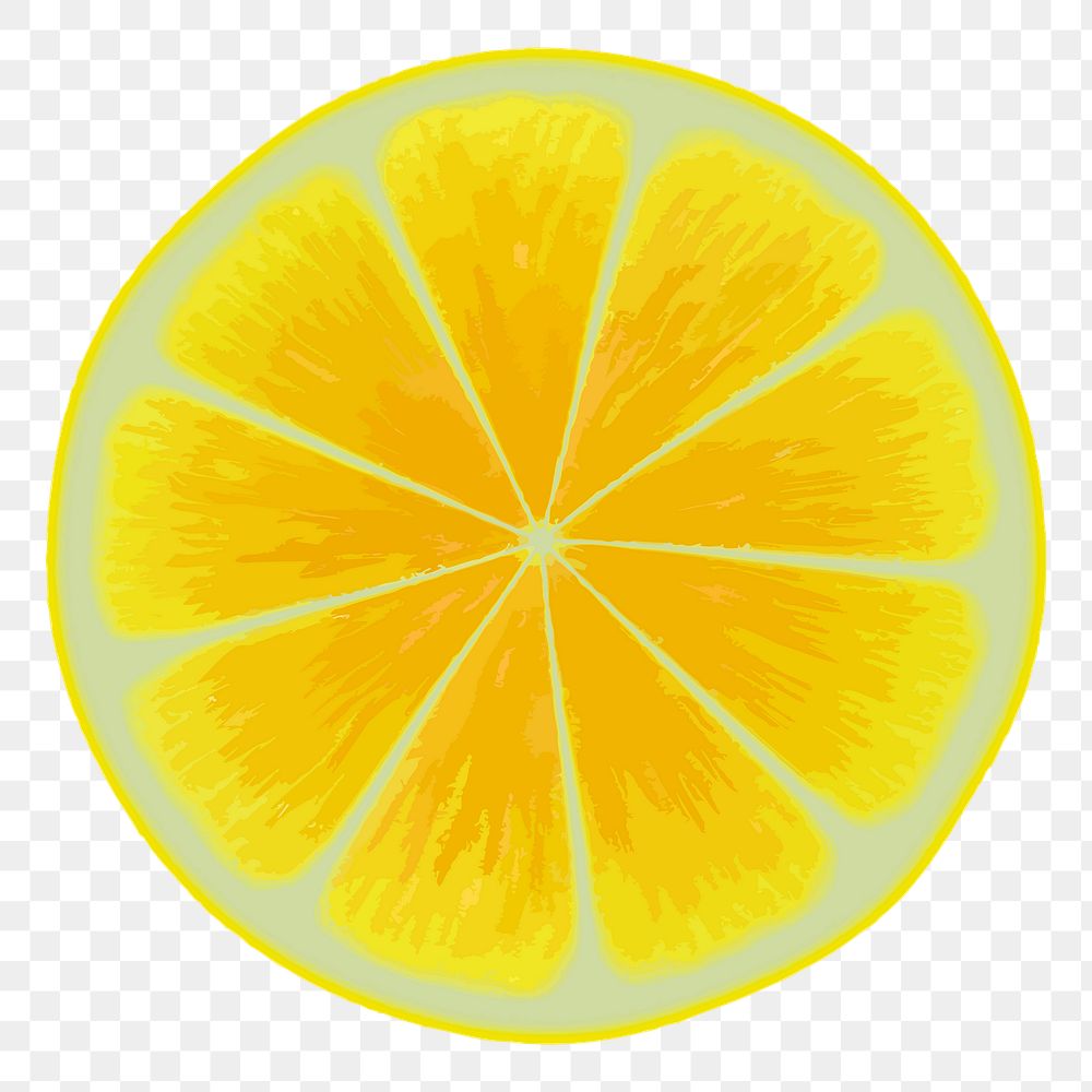 Lemon slice png sticker, fruit illustration on transparent background. Free public domain CC0 image.