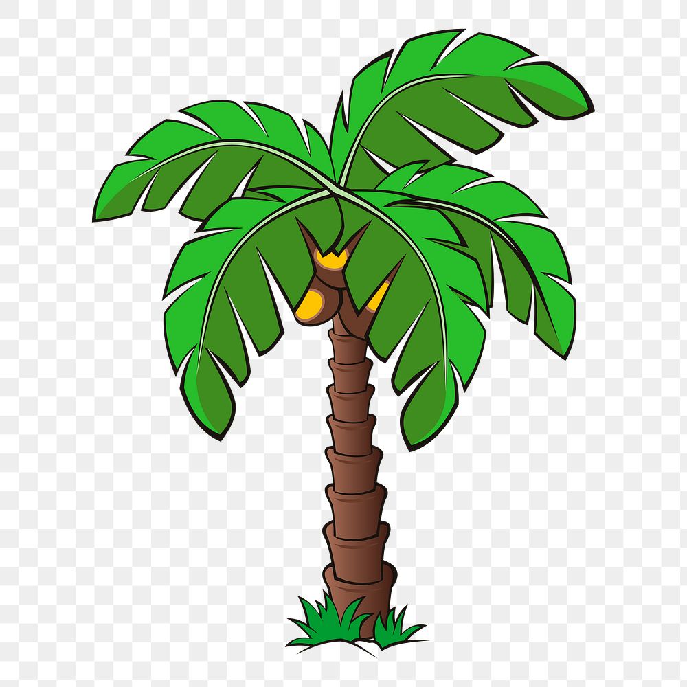 Coconut tree png sticker, botanical illustration on transparent background. Free public domain CC0 image.