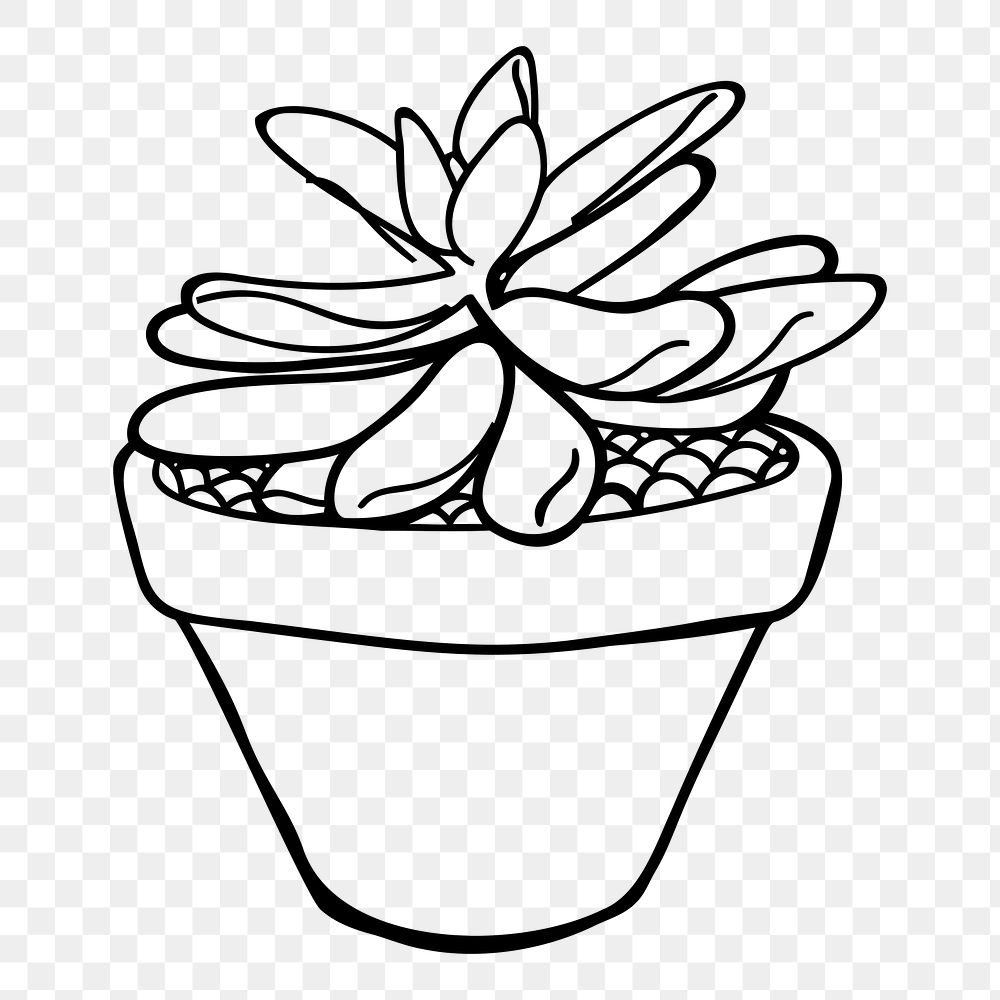 Minimal potted plant png sticker, | Free PNG - rawpixel