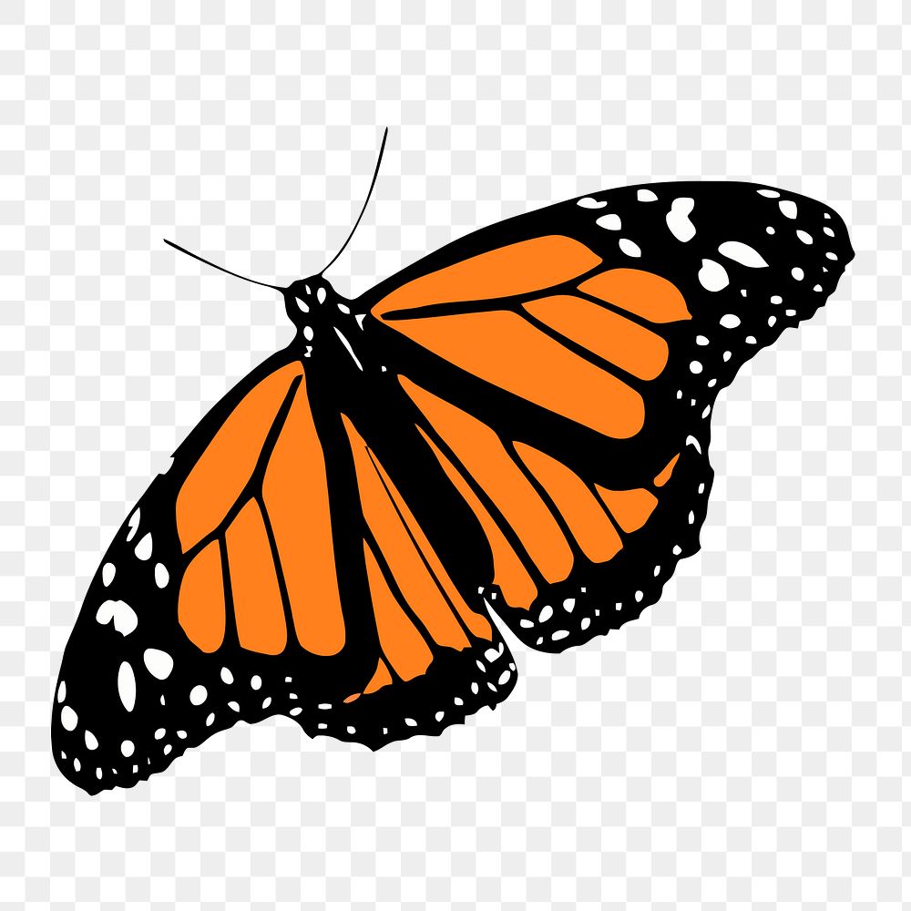 Monarch butterfly png sticker, insect illustration on transparent background. Free public domain CC0 image.