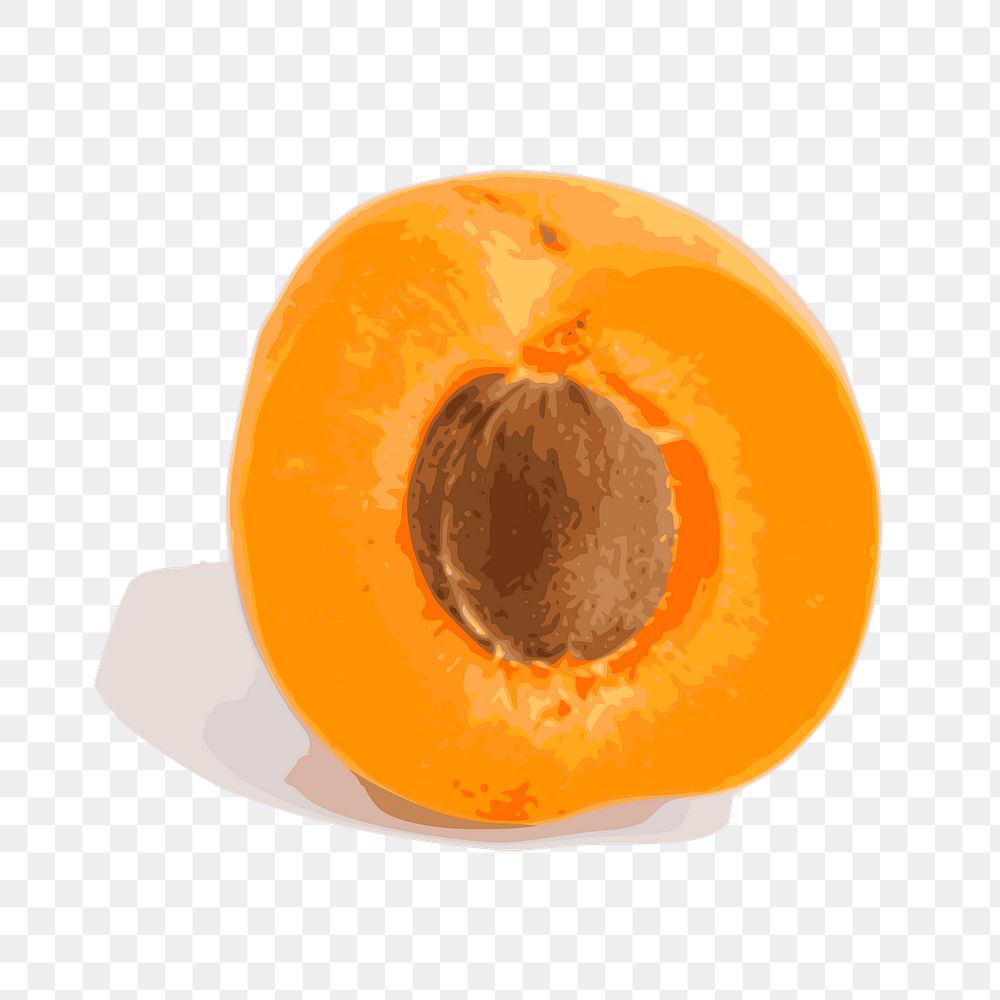 Apricot png sticker, fruit illustration on transparent background. Free public domain CC0 image.