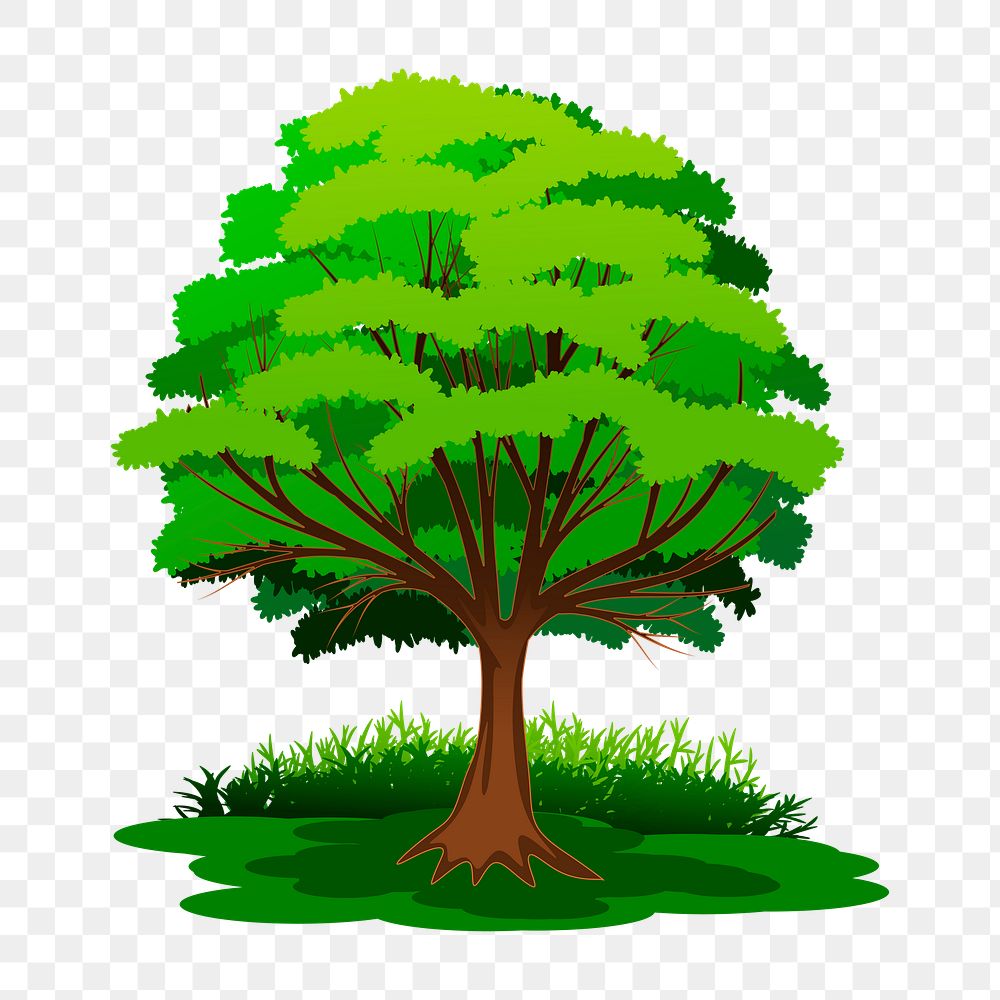 Lone tree png sticker, botanical illustration on transparent background. Free public domain CC0 image.