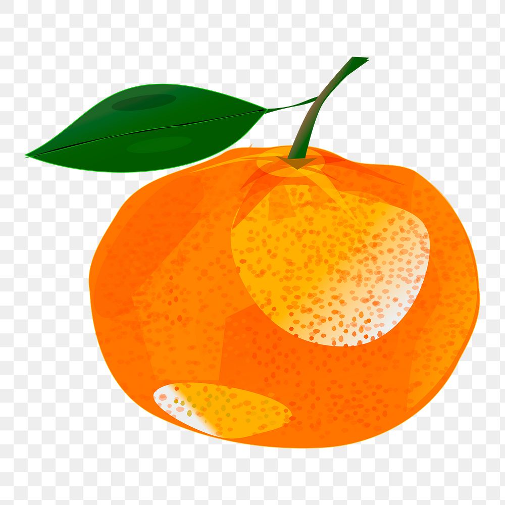 Orange png sticker, fruit illustration on transparent background. Free public domain CC0 image.