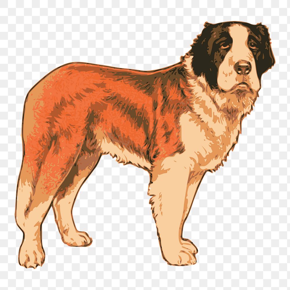 St. Bernard png dog sticker, animal illustration on transparent background. Free public domain CC0 image.