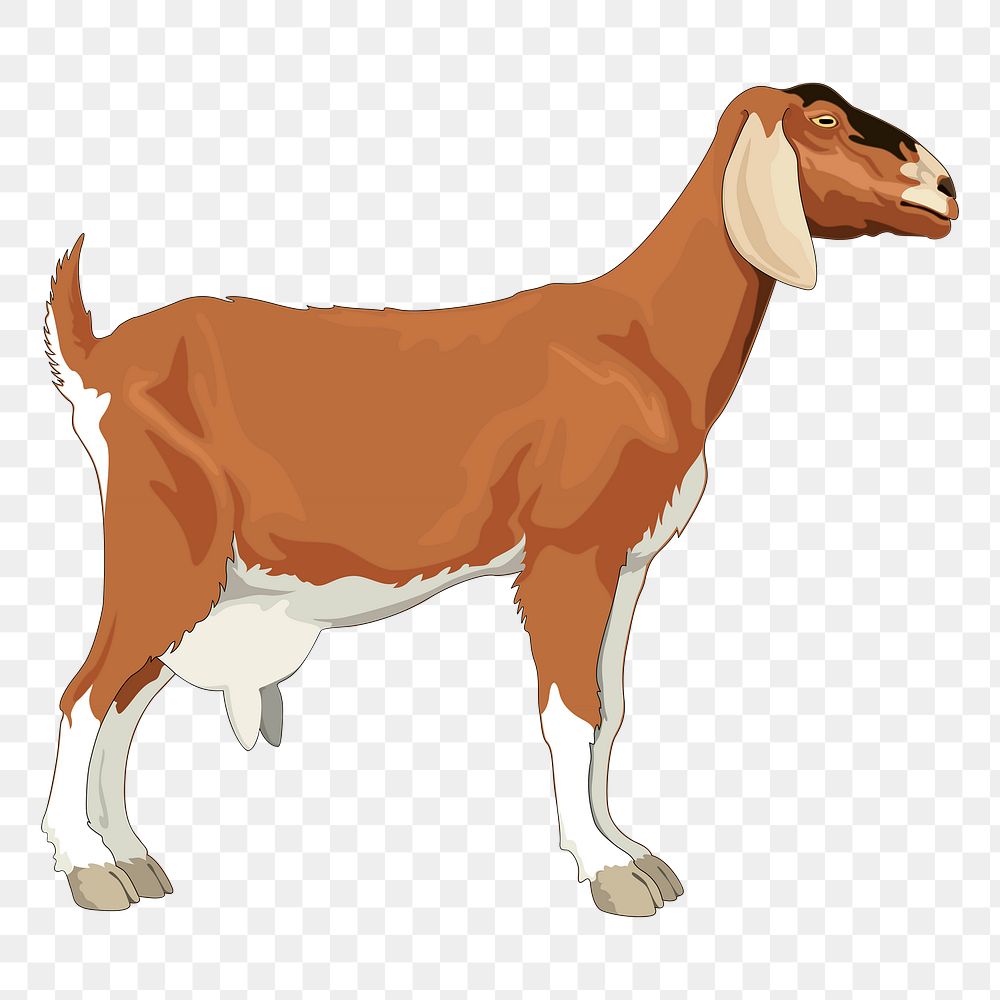 Goat png sticker, farm animal illustration on transparent background. Free public domain CC0 image.
