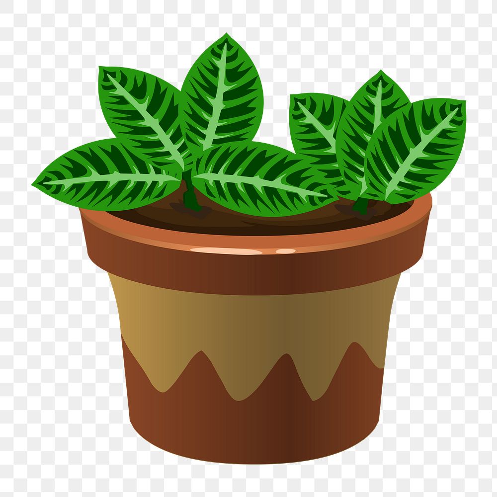 Potted plant png sticker, botanical illustration on transparent background. Free public domain CC0 image.
