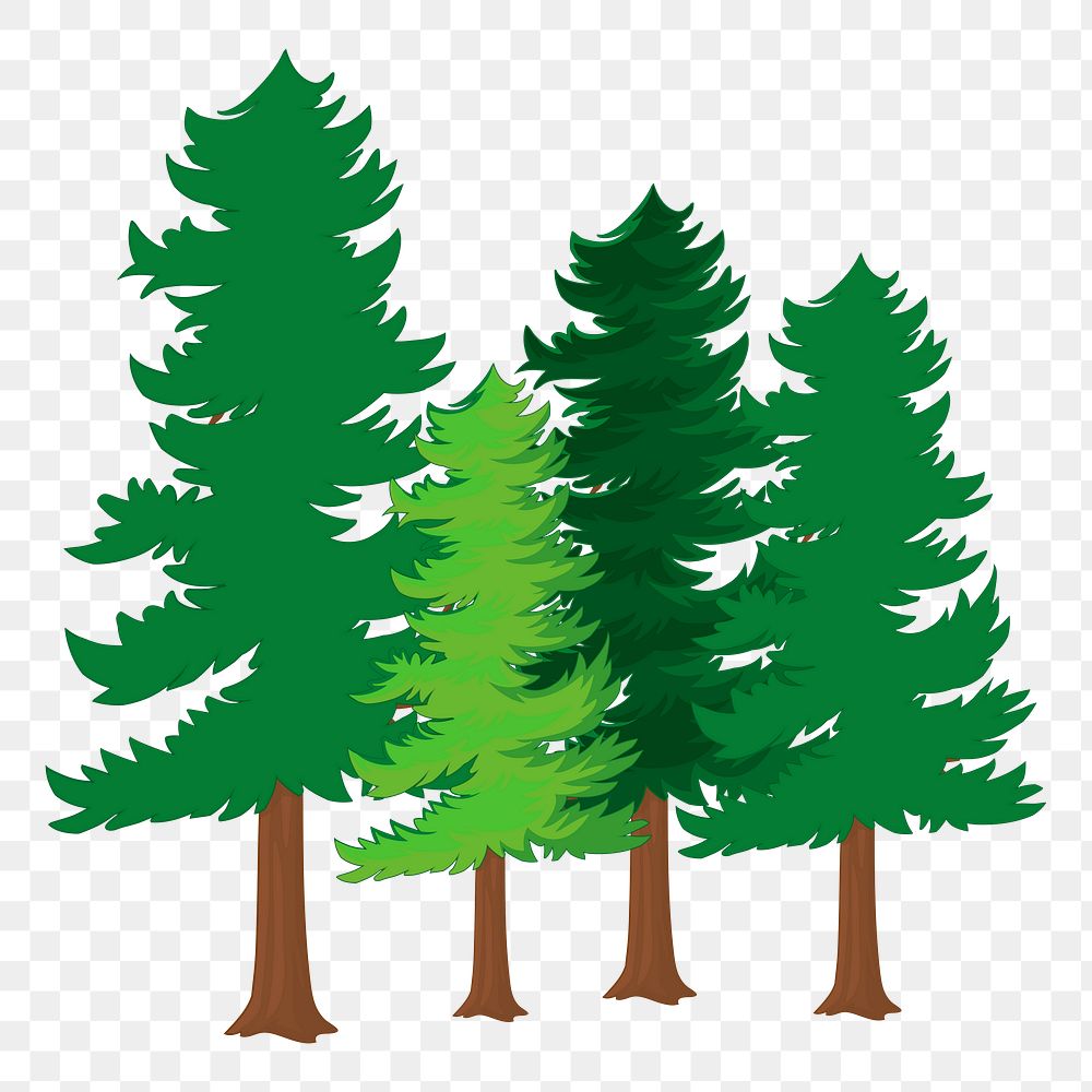 Pine trees png sticker, botanical illustration on transparent background. Free public domain CC0 image.