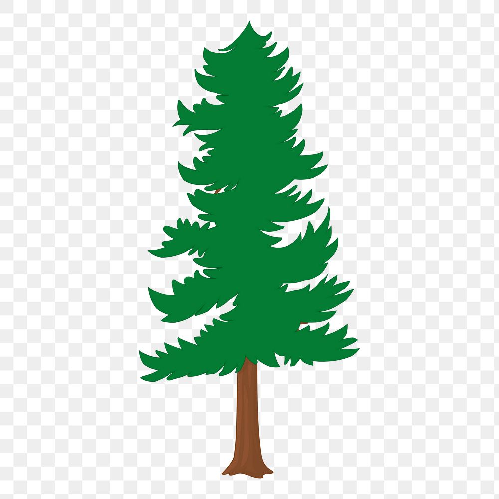 Pine tree png sticker, botanical illustration on transparent background. Free public domain CC0 image.