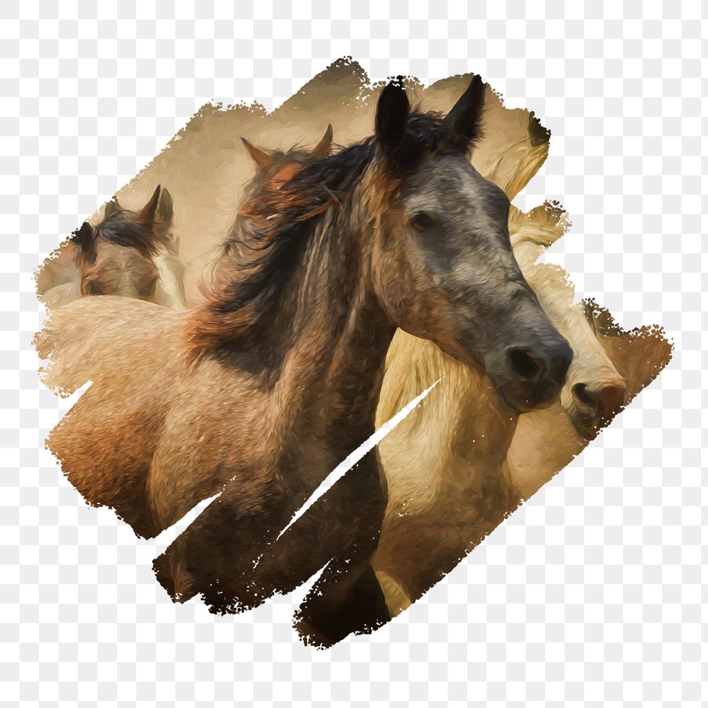 PNG horse sticker, brush stroke reveal, animal collage element, transparent background
