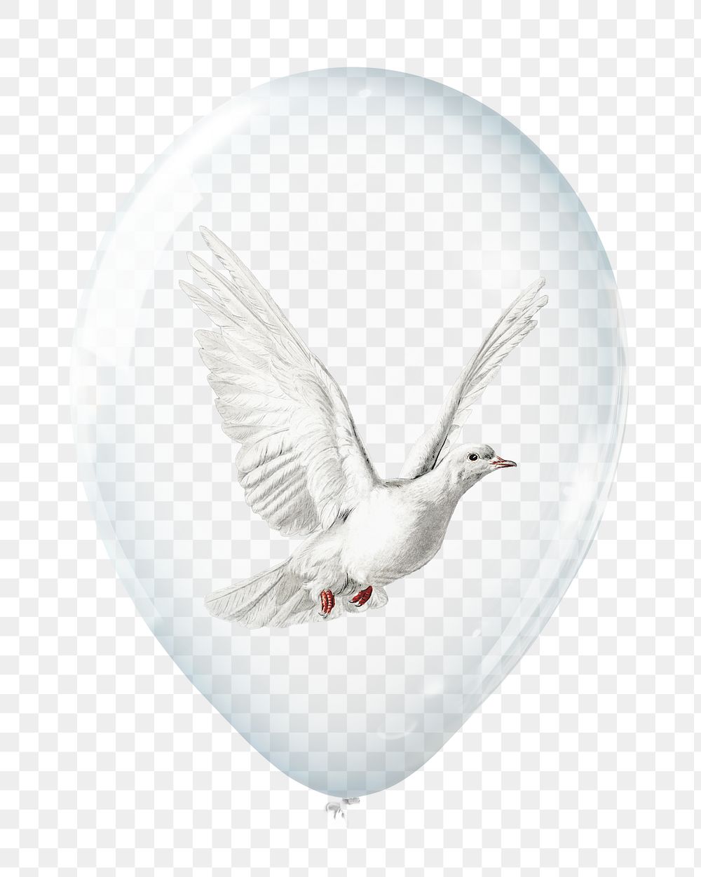 Flying dove png sticker, animal in clear balloon, transparent background