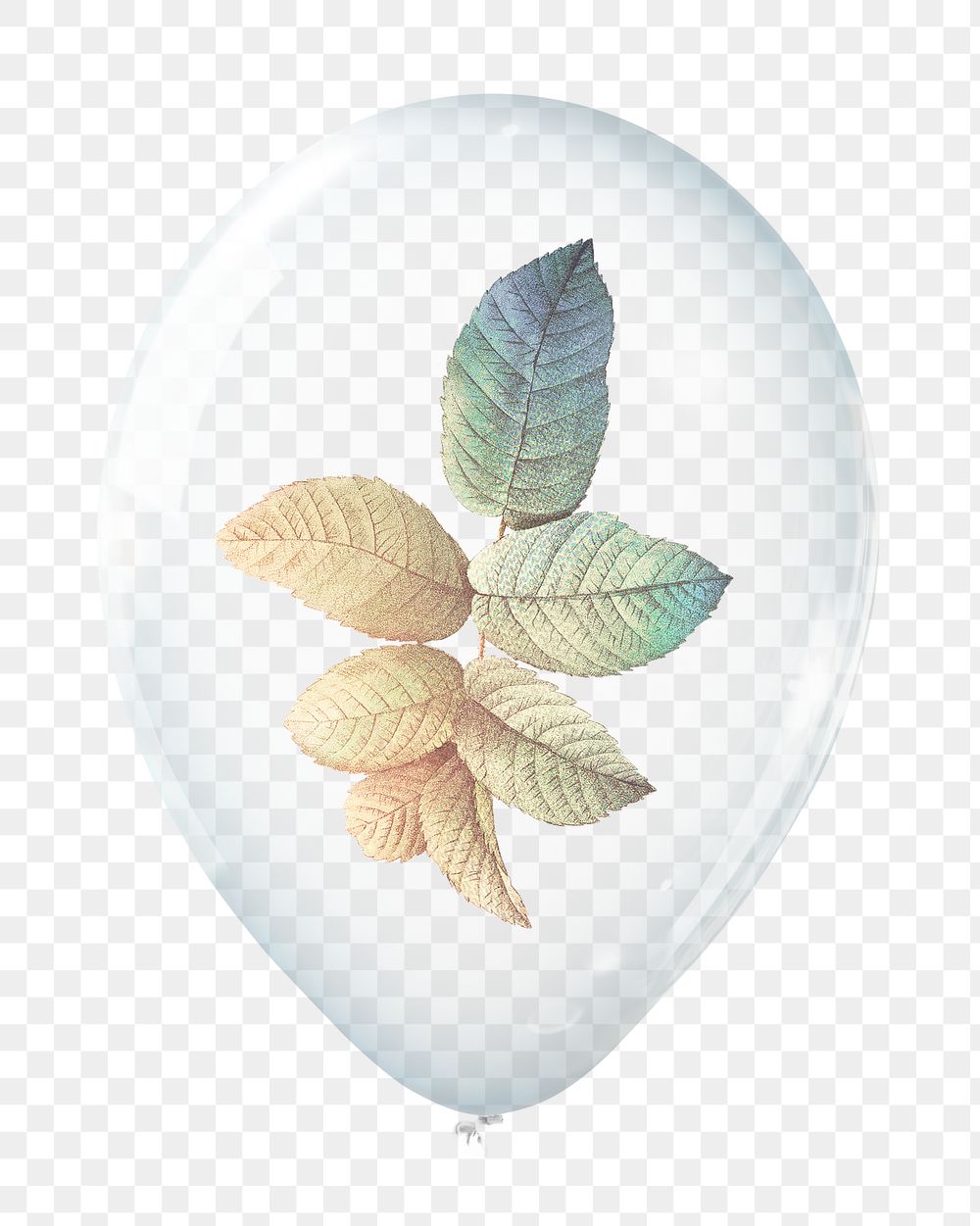 Rose leaf png, plant in clear balloon, transparent background