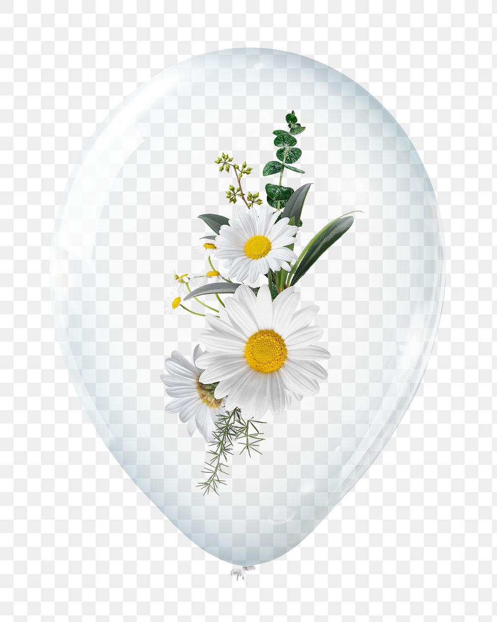 White daisies png, flower in clear balloon, transparent background