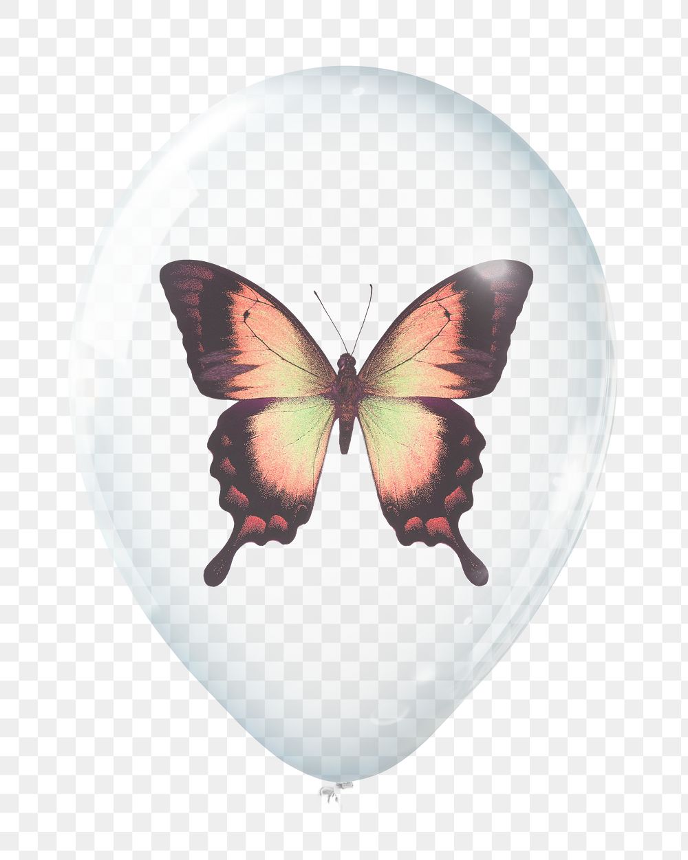 Swallowtail butterfly png sticker, animal in clear balloon, transparent background