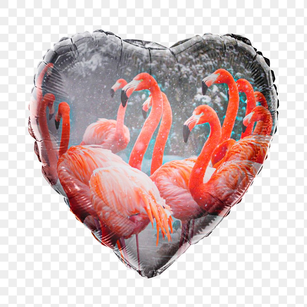 Aesthetic flamingos png heart balloon sticker, animal photo on transparent background