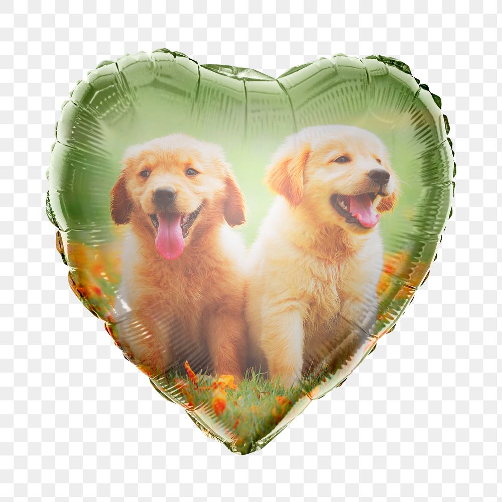 Golden Retriever png puppies heart balloon sticker, animal photo on transparent background