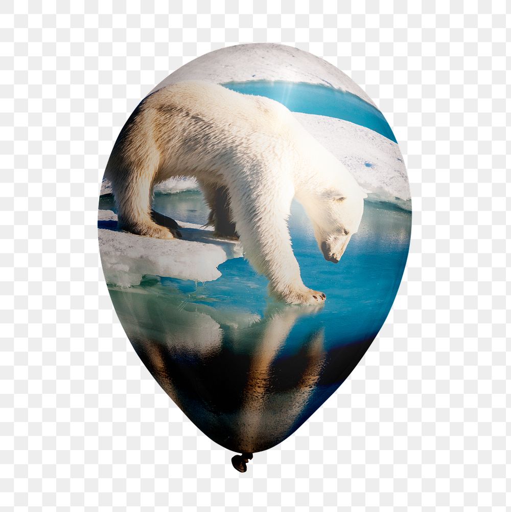 Png polar bear walking on ice balloon sticker, climate change photo on transparent background