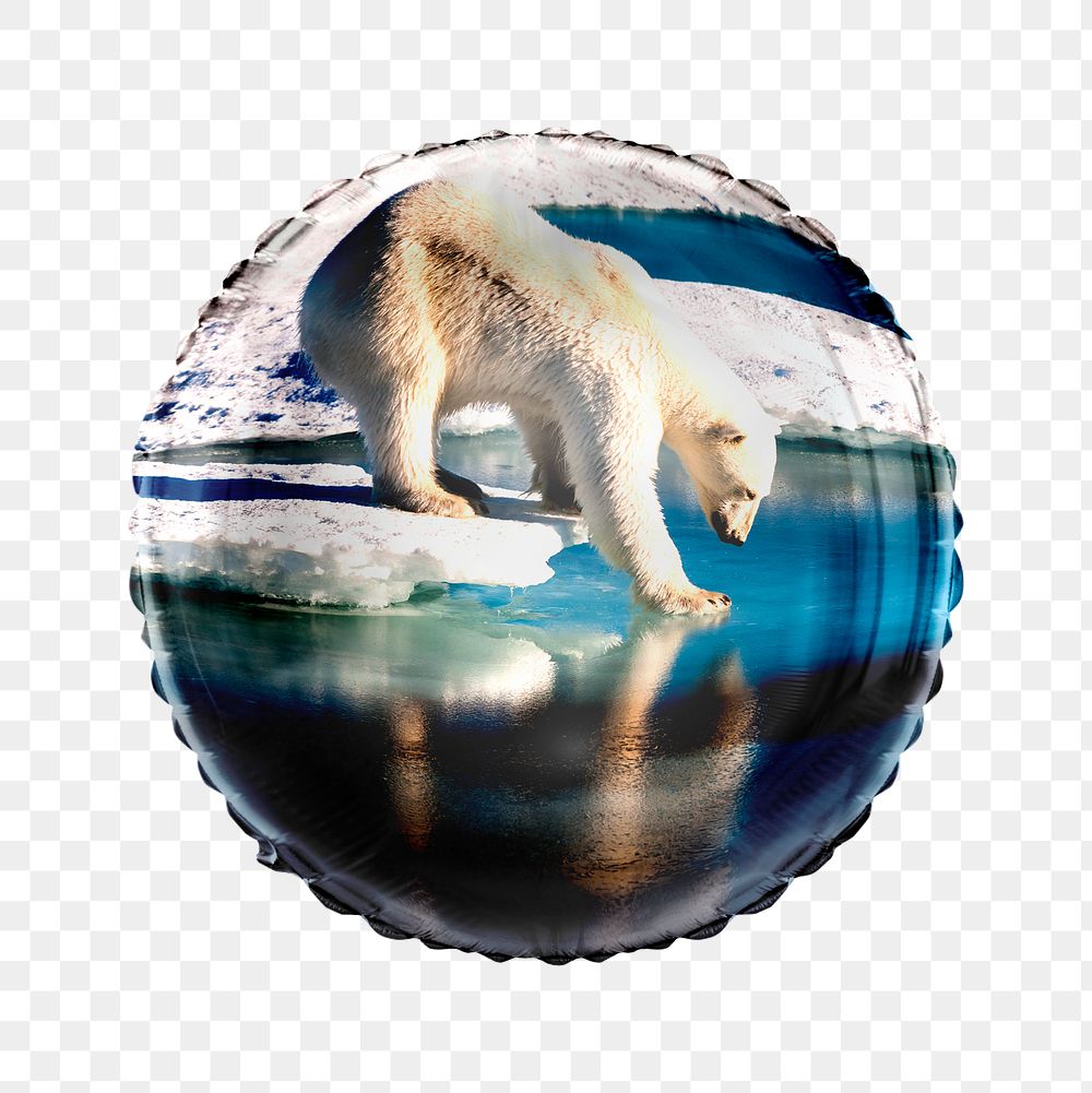 Png polar bear walking on ice balloon sticker, environment photo in circle shape, transparent background