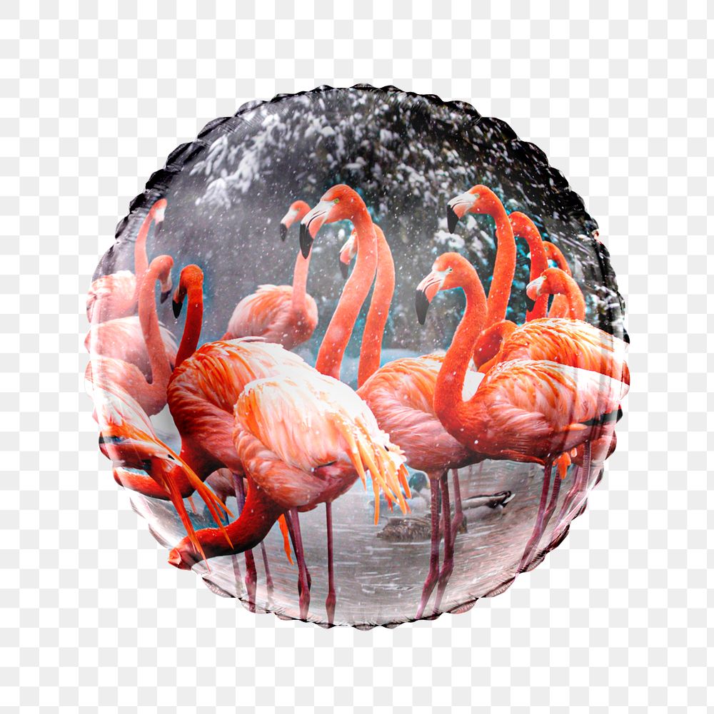 Aesthetic flamingos png balloon sticker, animal photo in circle shape, transparent background