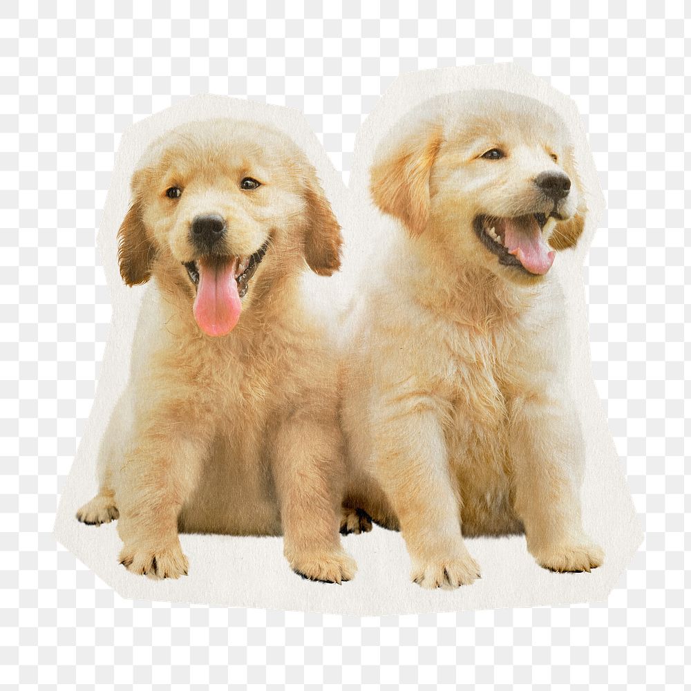 Dog png sticker,  Golden Retriever rough cut paper effect, transparent background