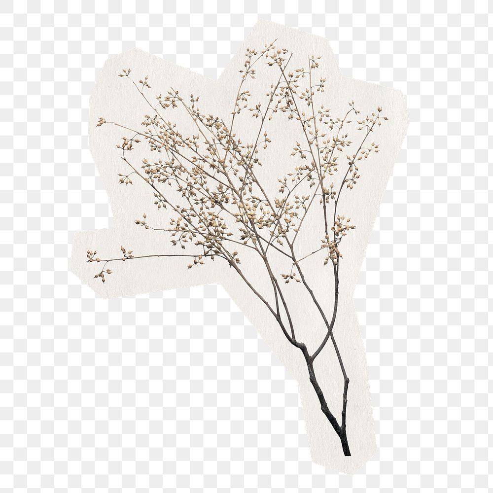 Dry flower branch png sticker, botanical rough cut paper effect, transparent background