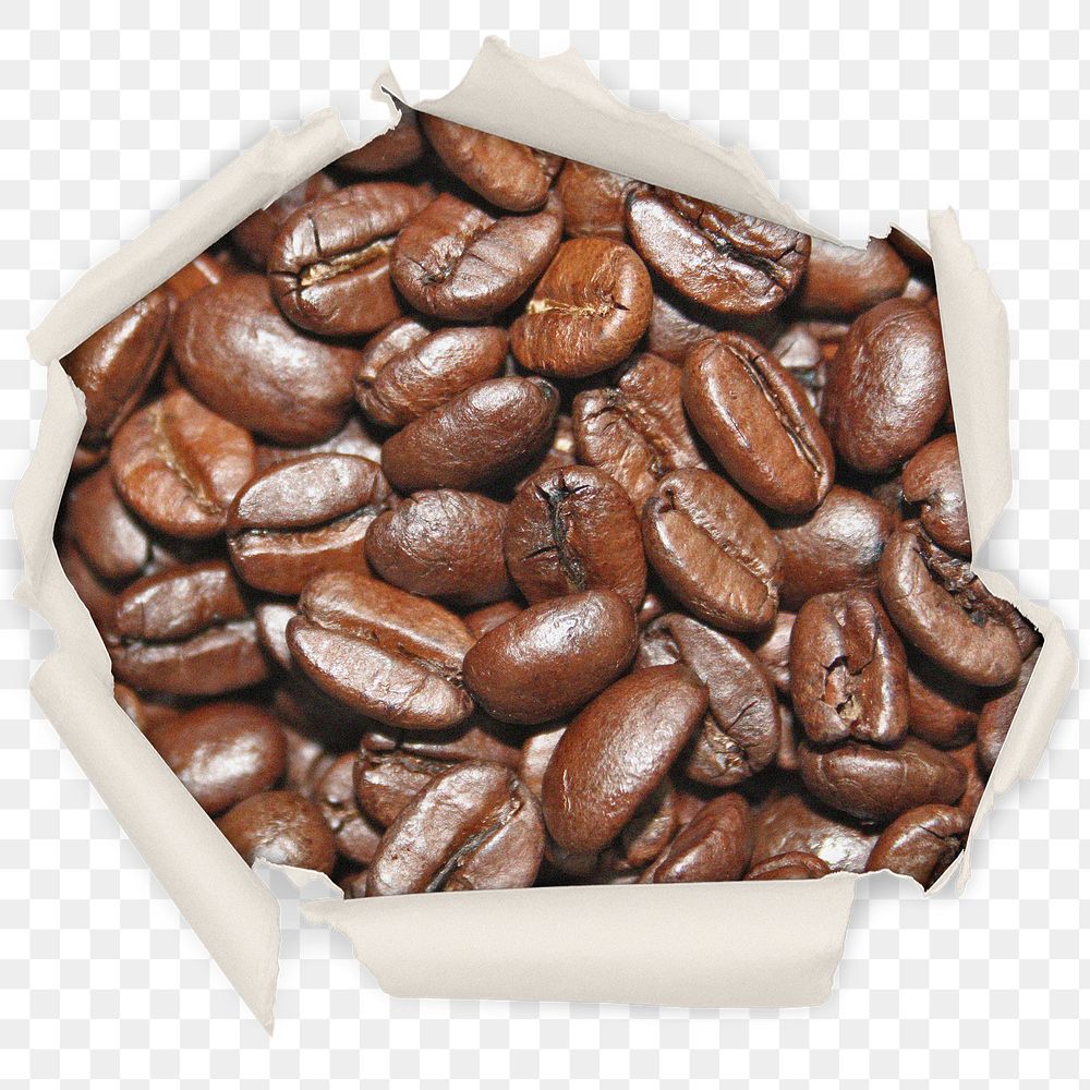 Coffee beans png badge sticker, food in center ripped paper photo, transparent background