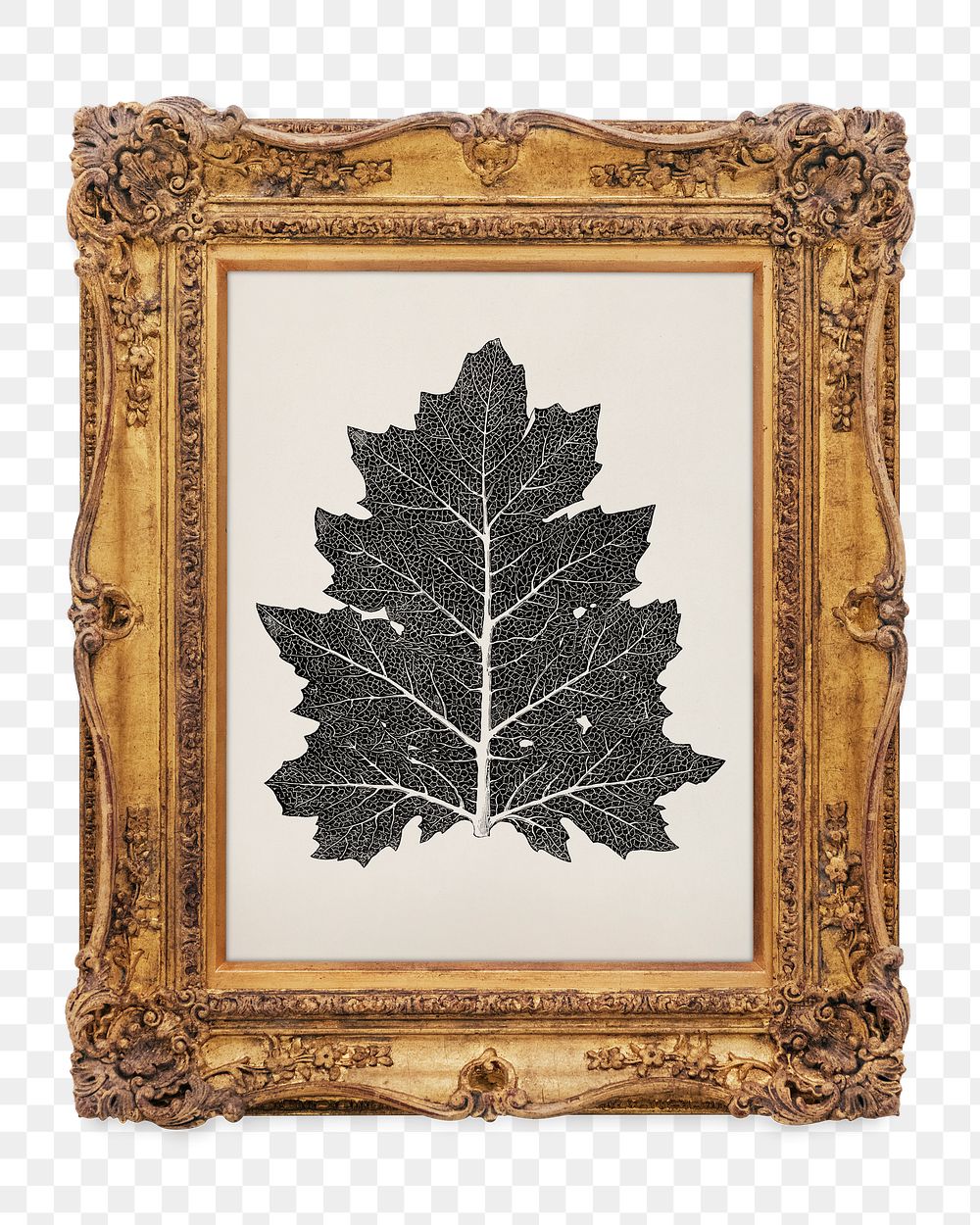 Black leaf png framed artwork, transparent background, remixed by rawpixel.