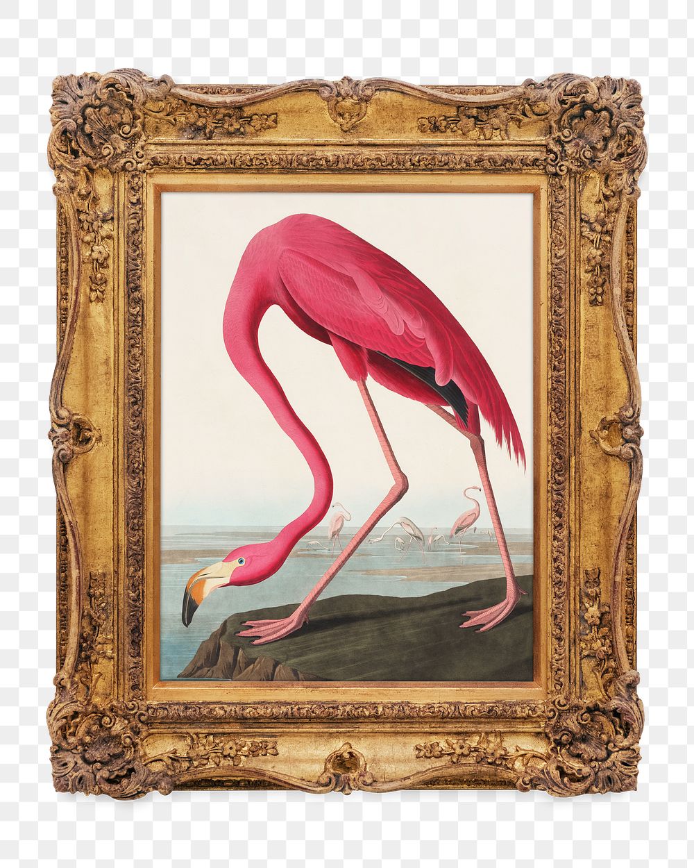 Pink flamingo png framed artwork, transparent background, remixed by rawpixel.