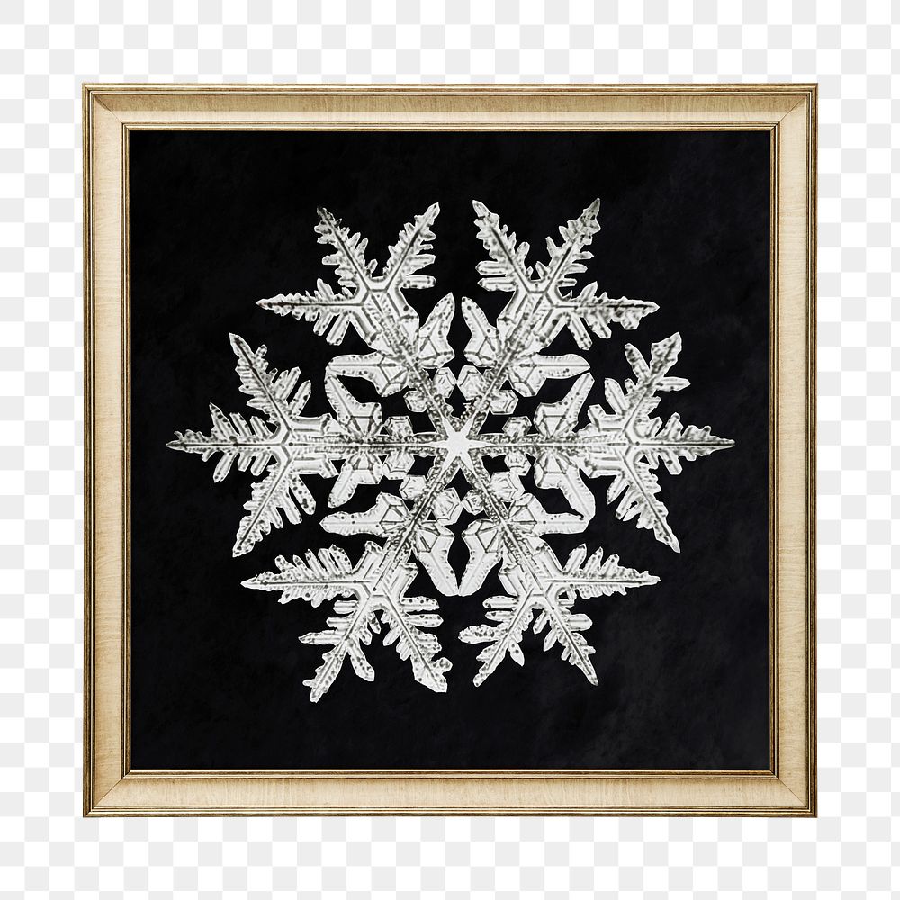 Png snowflake framed sticker, on transparent background