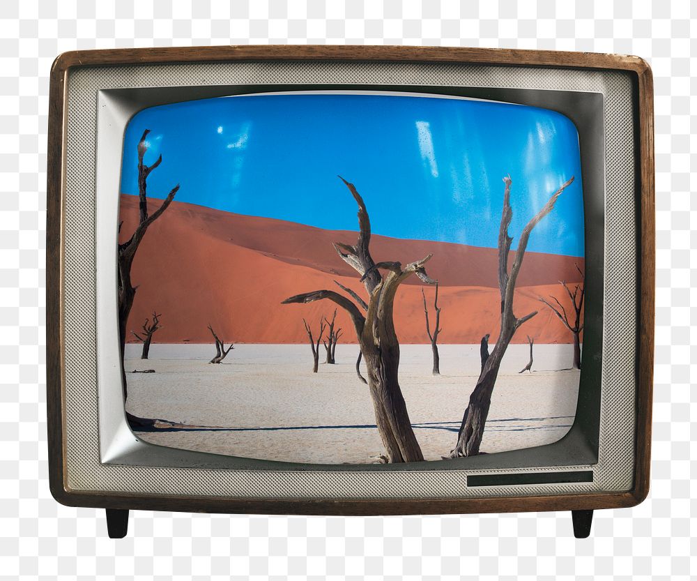 Desert trees png sticker, nature on retro television, transparent background