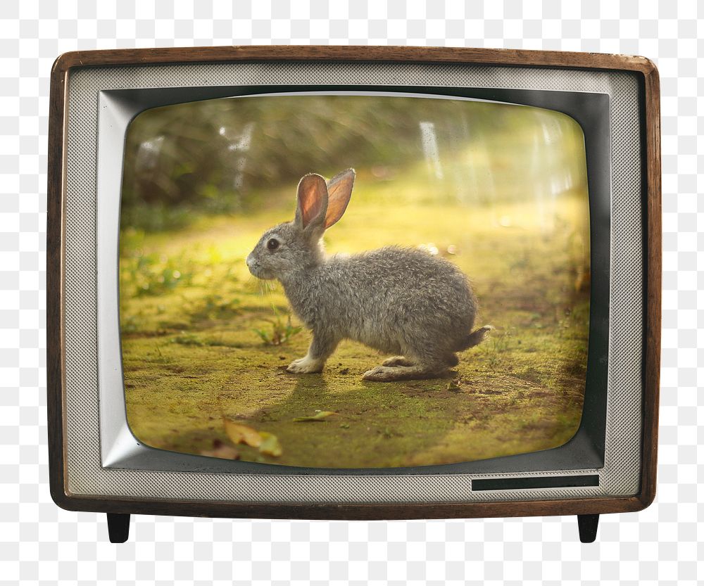 Cute rabbit png sticker, animal on retro television, transparent background