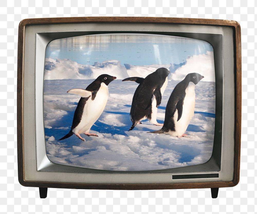 Walking penguins png sticker, animal on retro television, transparent background