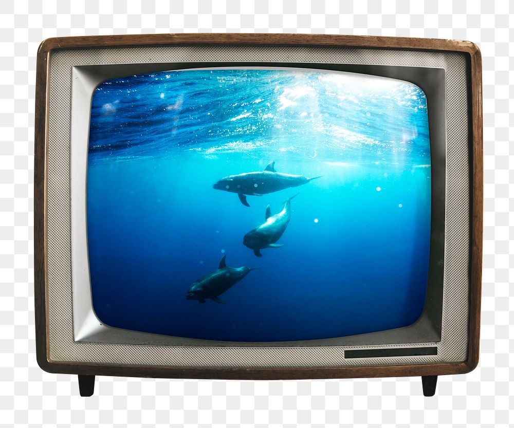 Dolphins swimming png sticker, environment on retro television, transparent background