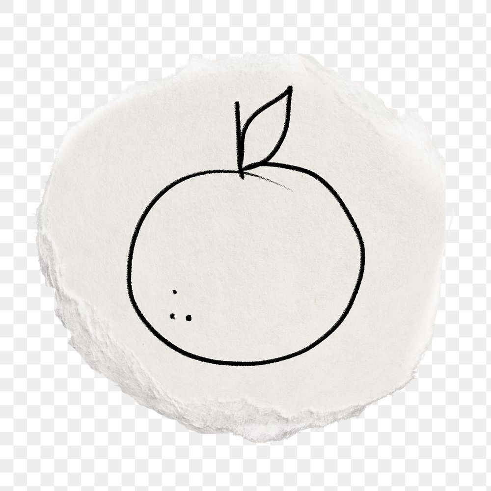 Orange fruit png doodle sticker, ripped paper transparent background