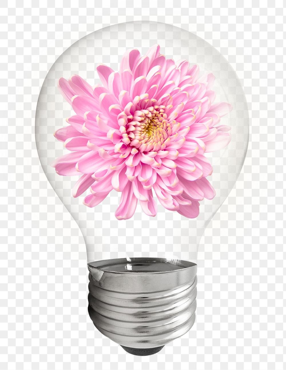 Chrysanthemum flower png sticker light bulb, Spring aesthetic graphic, transparent background