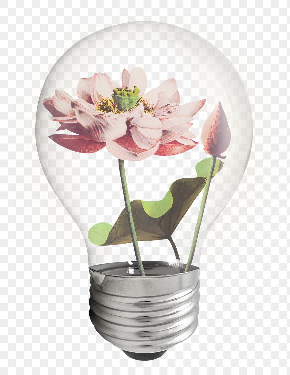 Lotus flower png light bulb sticker, botanical aesthetic graphic, transparent background