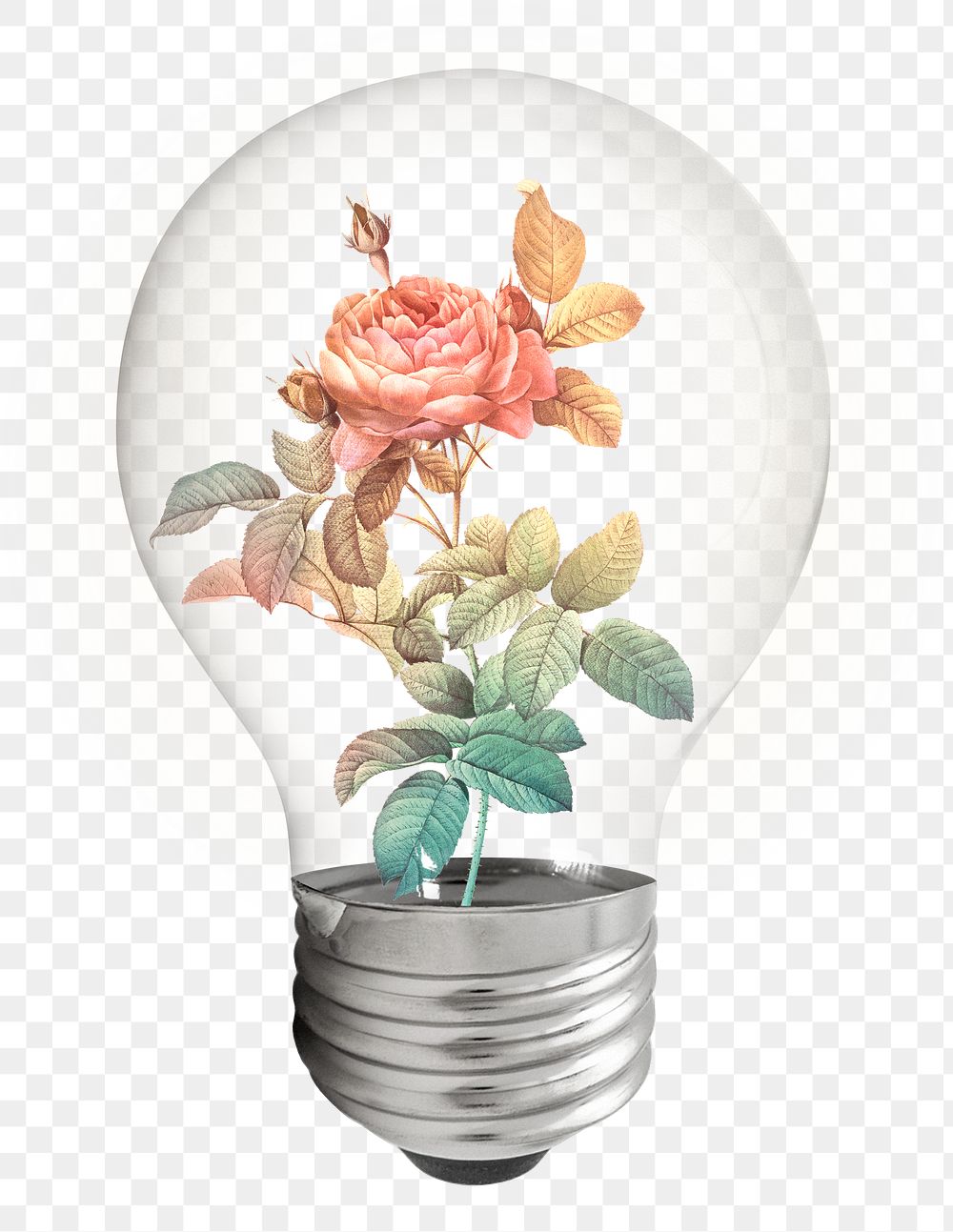 Aesthetic rose png bulb sticker, flower illustration on transparent background