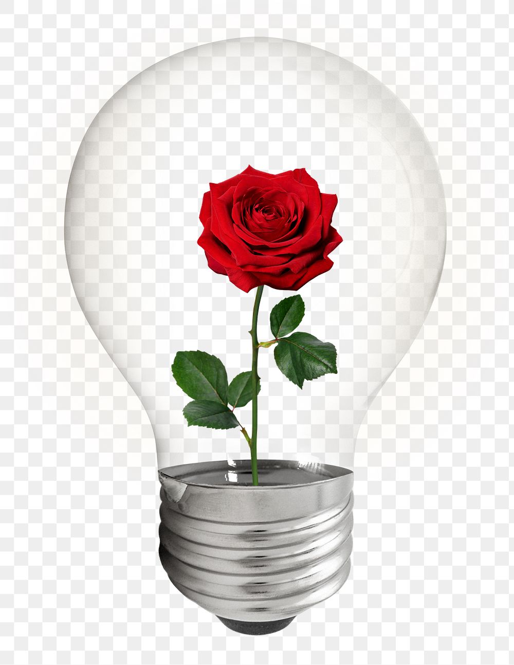Aesthetic rose png bulb sticker, flower, Valentine's celebration on transparent background