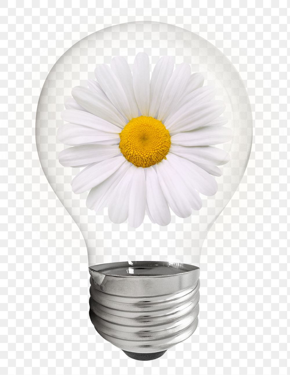 Daisy flower png sticker light bulb, Spring aesthetic graphic, transparent background
