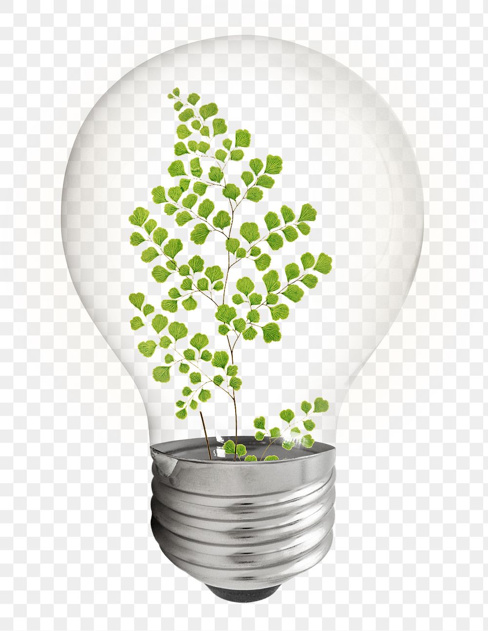 Aesthetic ginkgo png leaf bulb sticker, botanical graphic, transparent background