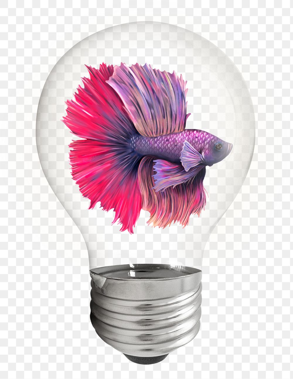 Betta fish png sticker, light bulb animal creative remix on transparent background