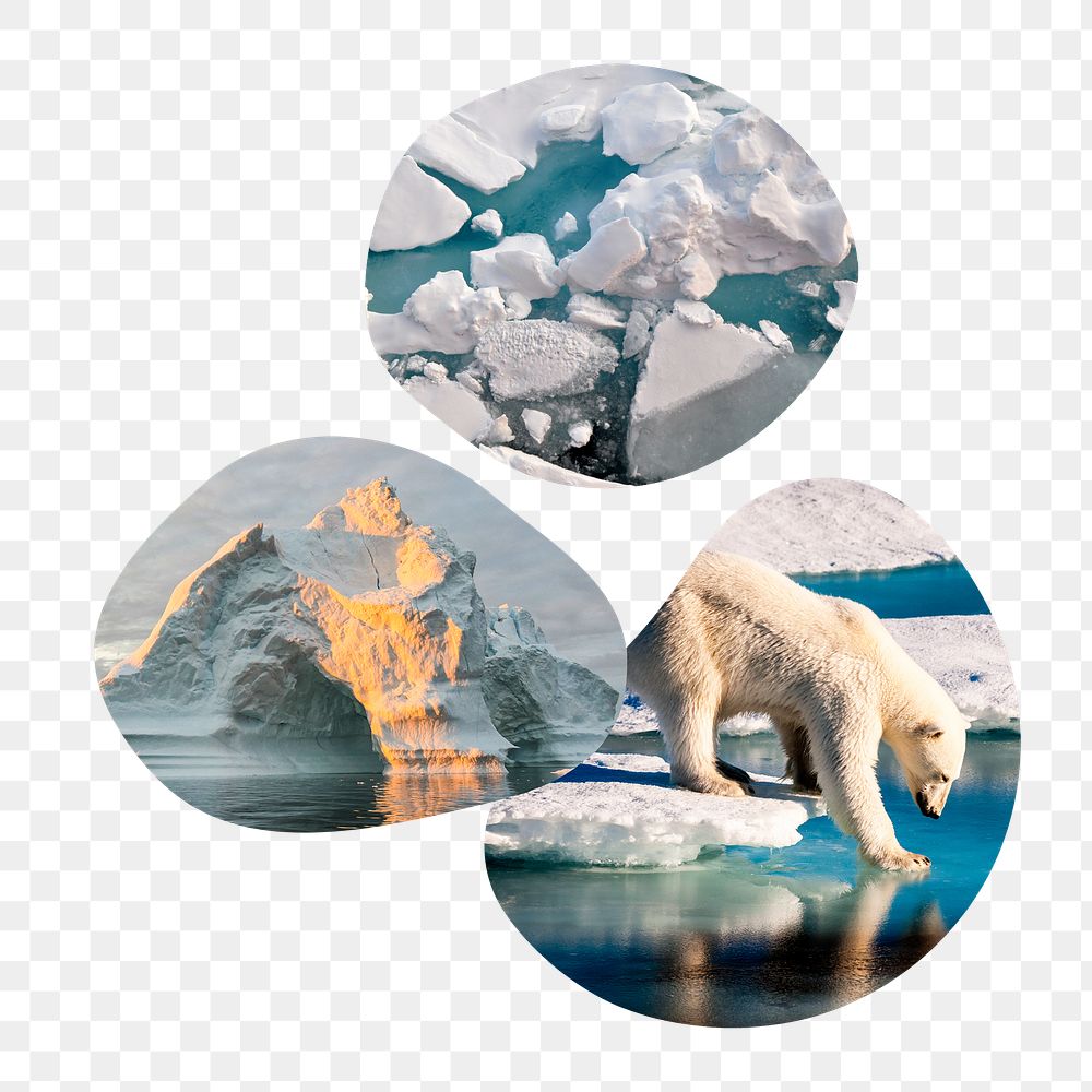 Melting ocean png badge sticker, global warming photo in blob shape, transparent background