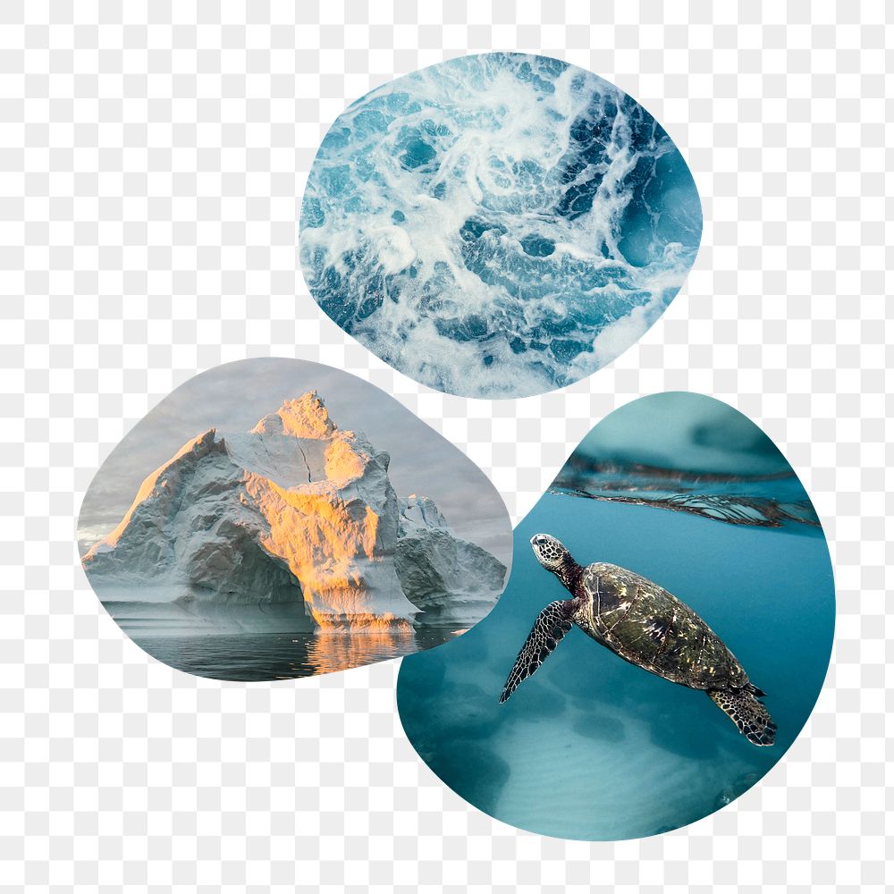 Melting ocean png badge sticker, climate change photo in blob shape, transparent background