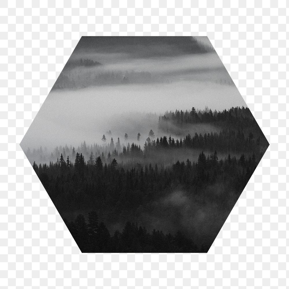 Foggy forest png badge sticker, nature photo in hexagon shape, transparent background